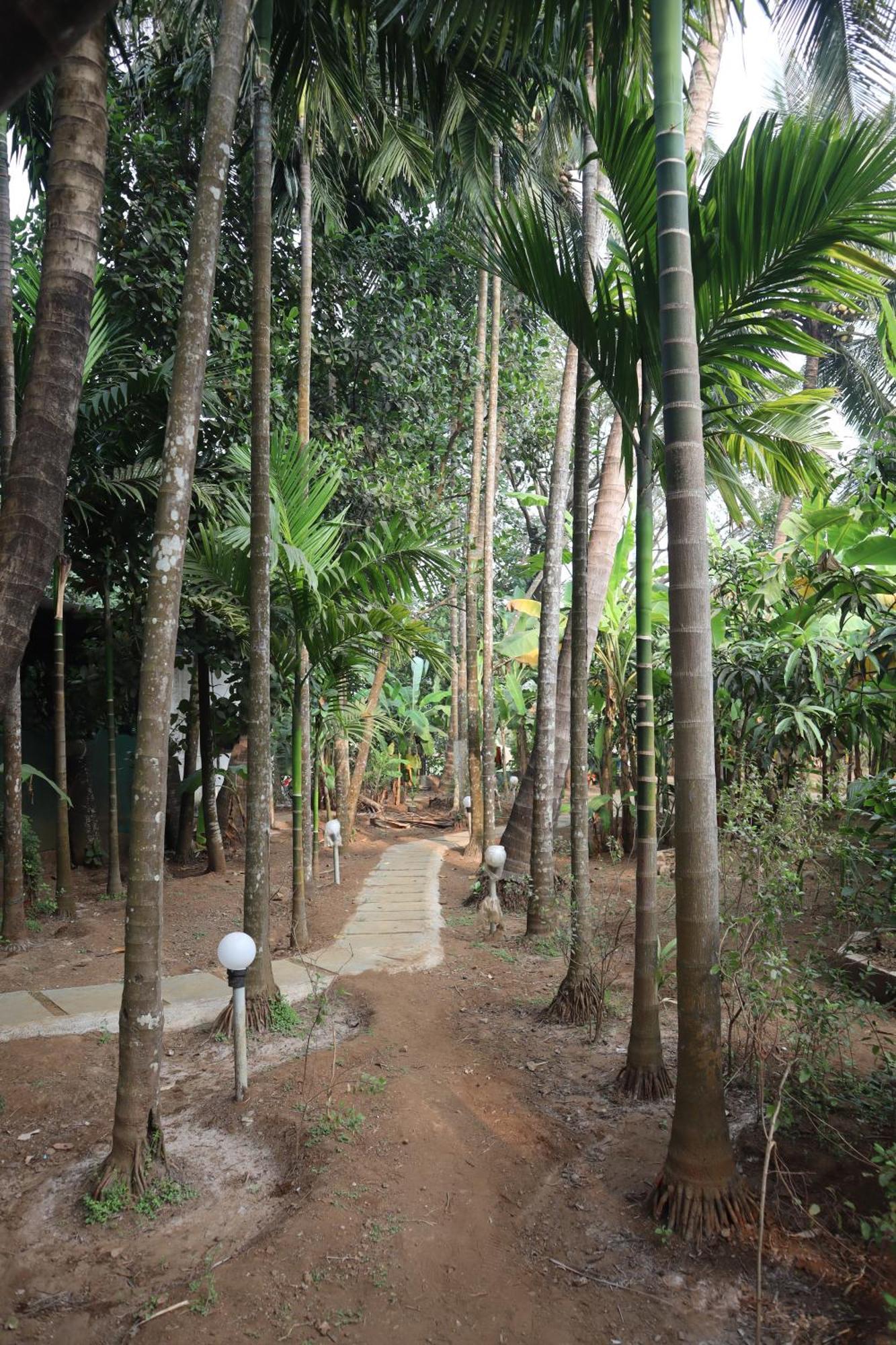 Gokul Cottage & Villa Revadanda Экстерьер фото
